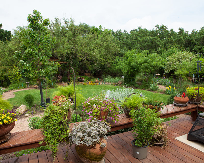 Garden