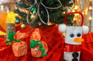 Toilet Paper Roll Crafts