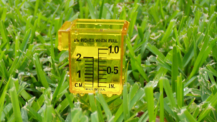 rain gauge