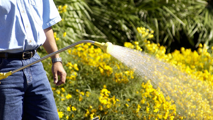 watering wand